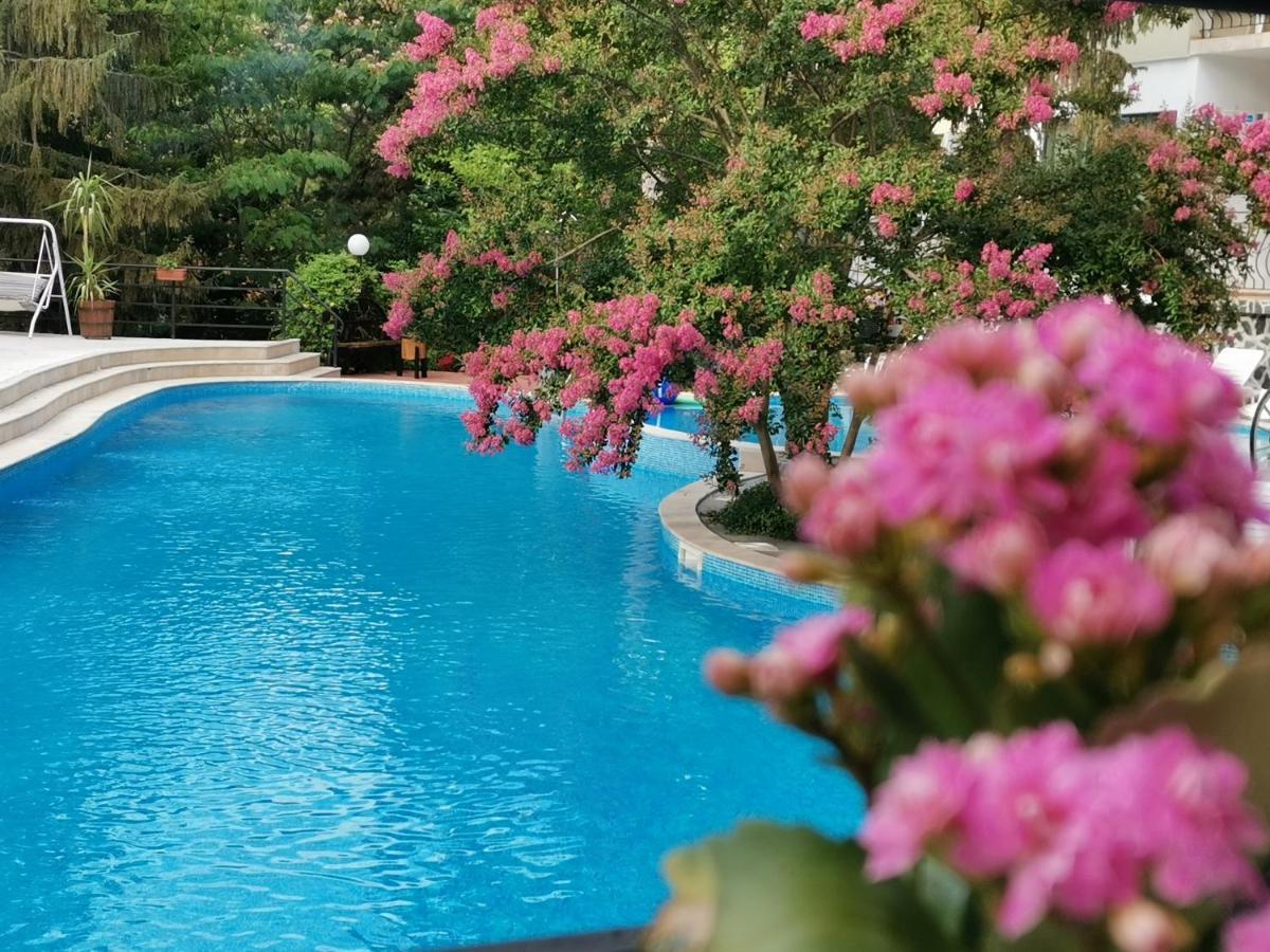 Twin Room Balcony Pool View